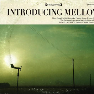 久久精品国产五月天
